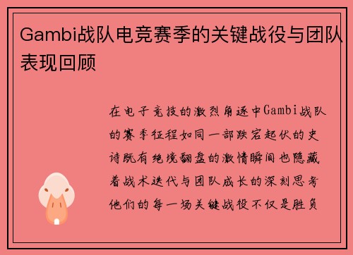 Gambi战队电竞赛季的关键战役与团队表现回顾